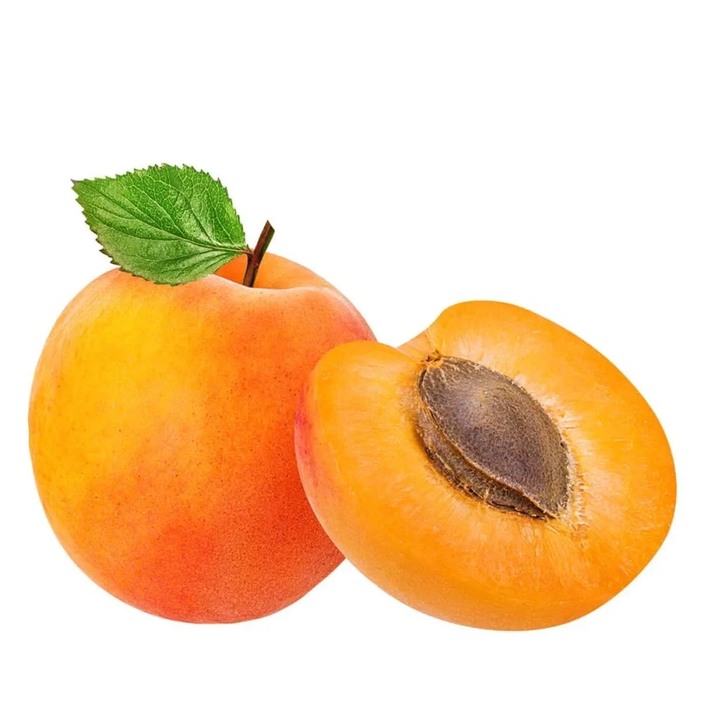 مشمش